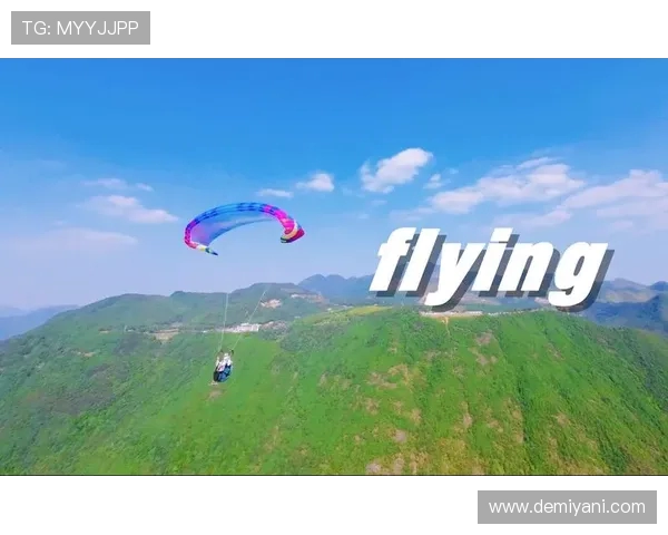 杭州极限运动队团队协作新模式探讨与热议